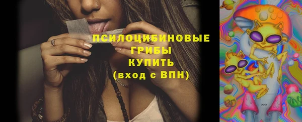 эйфоретик Баксан